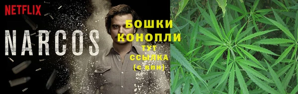 твердый Алексин