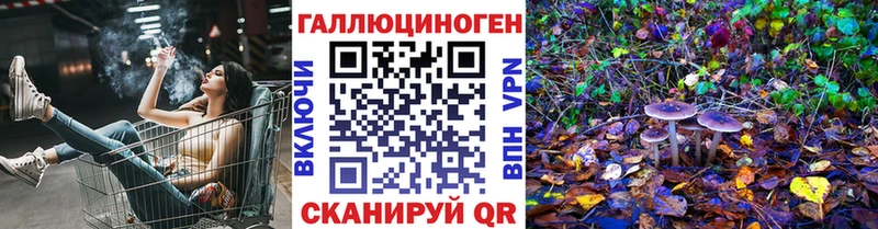 Галлюциногенные грибы Psilocybe  mega   Пласт 